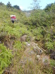 窮源穿草叢上山
DSCN0425