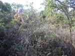 DSCN0439