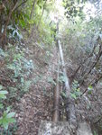 轉左沿水管路前行
DSCN0444