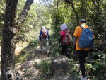 走小馬西坑(25)邊路DSCN0580