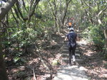 到大風坳轉右過涼亭走上畢拿山的石級路
DSCN0869