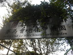 經賽馬會老圍中藥園
DSCN1010
