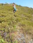 出林接山路轉左續上脊
DSCN1216