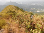 回望出林位(相右). 遠處是龍山
DSCN1217