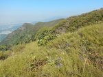 上山途中左望南山
DSCN1226