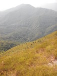 脊路中右望見鶴藪水塘及九龍坑山 DSCN1232