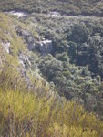 屏鶴石澗入口有一大岩
DSCN1242