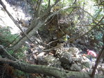 DSCN1291