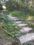 DSCN1311