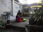 在鳳園蝴蝶園借水下午茶
DSCN1318