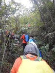 穿林上山
DSCN1539