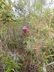 DSCN1542