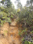 接明顯山路轉左上斜
DSCN1543