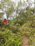 原來接女婆山山脊路, 大隊往右走, 有隊友往左去方便方便
DSCN1545