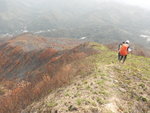 落山路沿途一帶被燒過
DSCN2740