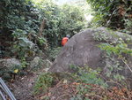 DSCN3605