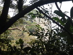 上溯蒼龍石澗, 澗中右望東蓮花塔
DSCN3634