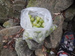 小休有清甜青提食
DSCN3636
