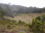 到Maundi Crater
IMG00122