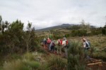 IMG00174