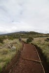 IMG00180