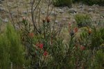 IMG00189