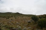 IMG00193