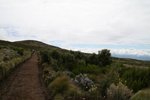 IMG00197