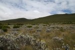 IMG00198