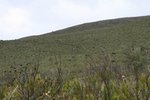 有人係好遠呢, 重有排行咁噃
IMG00202