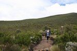 IMG00205