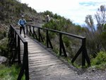 IMG00218