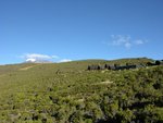 Horombo Hut 與 Kibo Peak
IMG00325