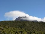 被雲遮蓋了的Mawenzi Peak
IMG00335