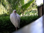 IMG00496