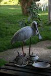 IMG00500