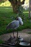 IMG00501