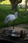 IMG00502