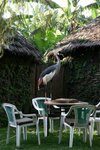 IMG00505