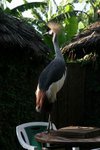 IMG00507