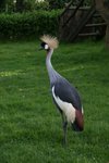 IMG00509