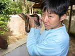 IMG00519
