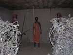 Maasai 服飾
IMG00535