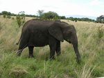 IMG00568