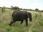 IMG00569