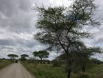 IMG00570