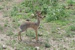 IMG00576