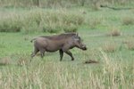 IMG00614