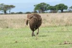 IMG00616