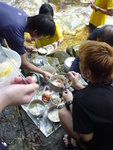 DSC02215